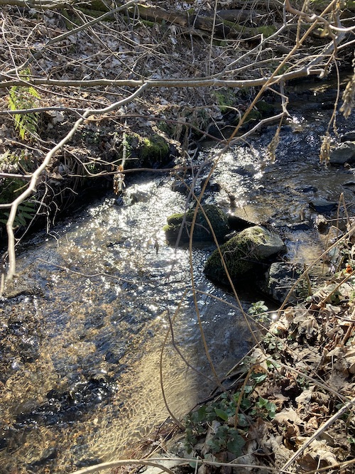 Flussufer
