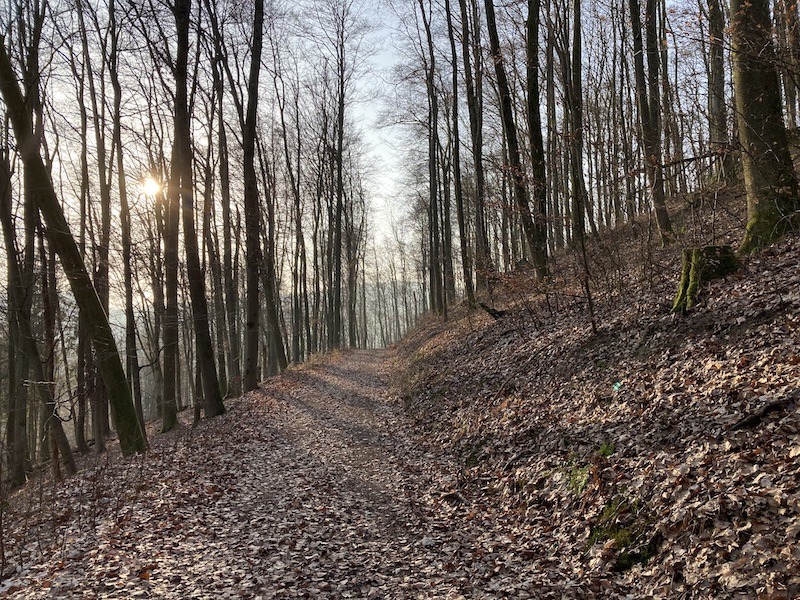 Waldweg